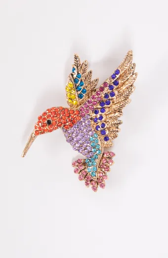Színes kolibri bross